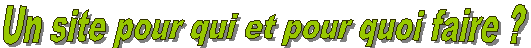 Int&eacute;r&ecirc;t d'un site